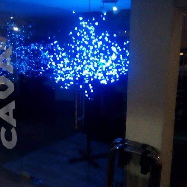 LETRERO CAVA